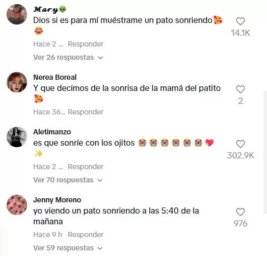 Muchos usuarios quedaron conmovidos con la "sonrisa" del patito / TikTok