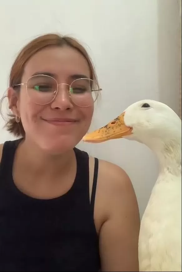 Pato que sonríe se hizo viral en TikTok 