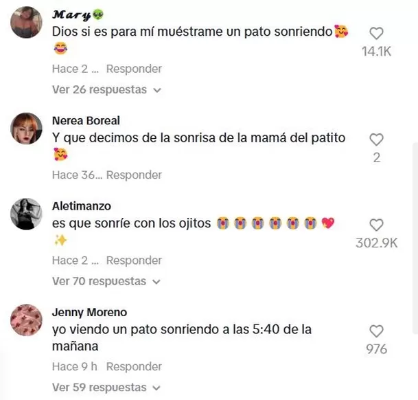 Muchos usuarios quedaron conmovidos con la "sonrisa" del patito / TikTok