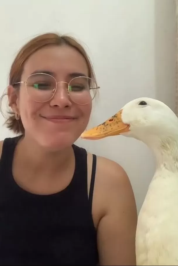 Pato que sonríe se hizo viral en TikTok 