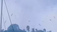 Peces cayeron del cielo tras un inusual tornado