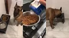 Perrito de paladar exquisito enternece las redes