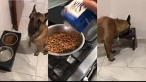 Perrito se rehúsa a comer hasta que pasó algo inesperado. Imagen: Facebook (Pandablock)