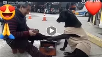 Perro callejero va donde lustrabotas y le 'pide' que le limpie sus patas. Foto: captura/Video: 24horas.cl