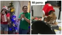 Perro comió cena de Navidad mientras dueños abrían regalos. Fuente: tiktok