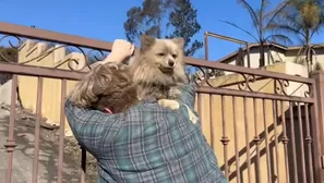 Casey Colvin logró reencontrarse con su adorada mascota Oreo. Foto y video: X