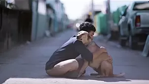 Joven da a perros callejeros su primer abrazo. Video: YouTube 'Actualidad canina'