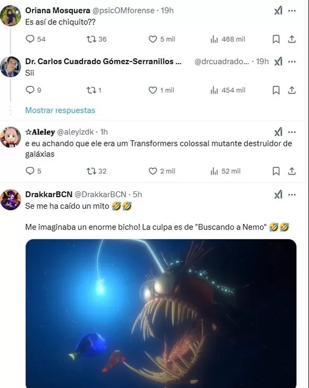 Los usuarios de X quedaron sorprendidos por el tamaño real del pez diablo negro / X