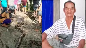 Expertos creen que reciente aumento de avistamientos de pitones ocurre por perturbaciones en su hábitat natural. Foto: Viral Press