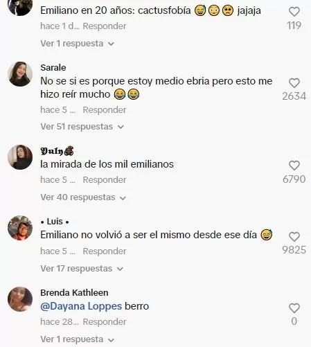 Algunos usuarios no pudieron soportar las risas / TikTok