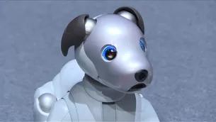 Presentan nueva versión de perro robot en Japón. Video: AFP