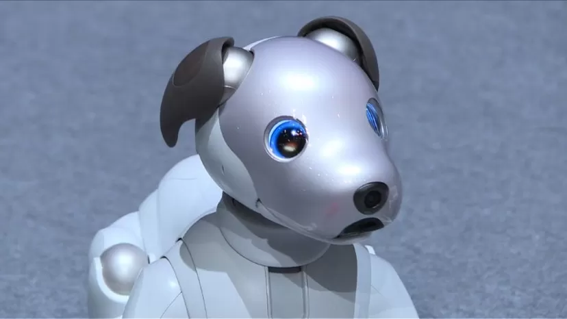 Presentan nueva versión del perro robot en Japón