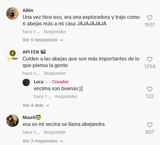 Comentarios en TikTok