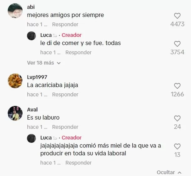 Comentarios en TikTok