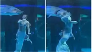 ¡Qué miedo! Pez gigante atacó a “sirena” durante show en acuario