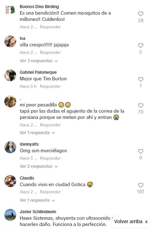 Algunos cibernautas le recomendaron a la mujer tener cuidado con que un murciélago ingrese a su departamento / TikTok