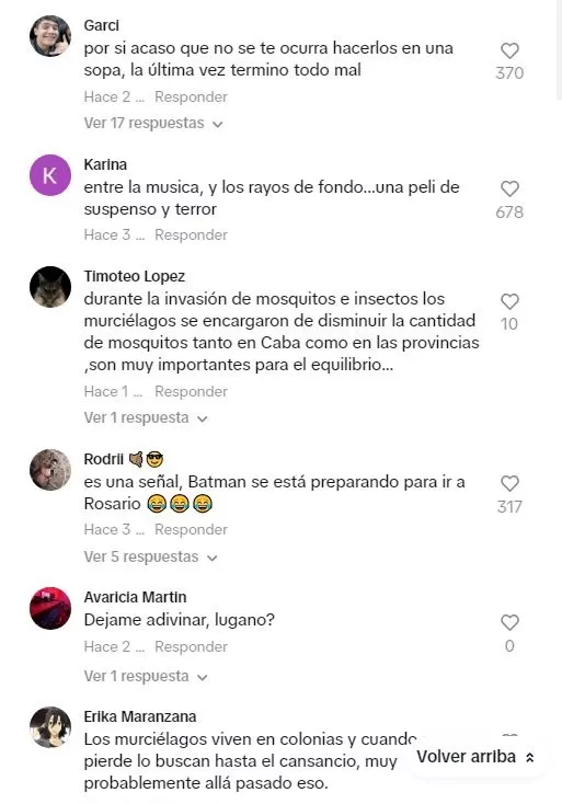 El video, que tiene más de 180 mil reproducciones y miles de likes, fue comentado por varios usuarios / TikTok