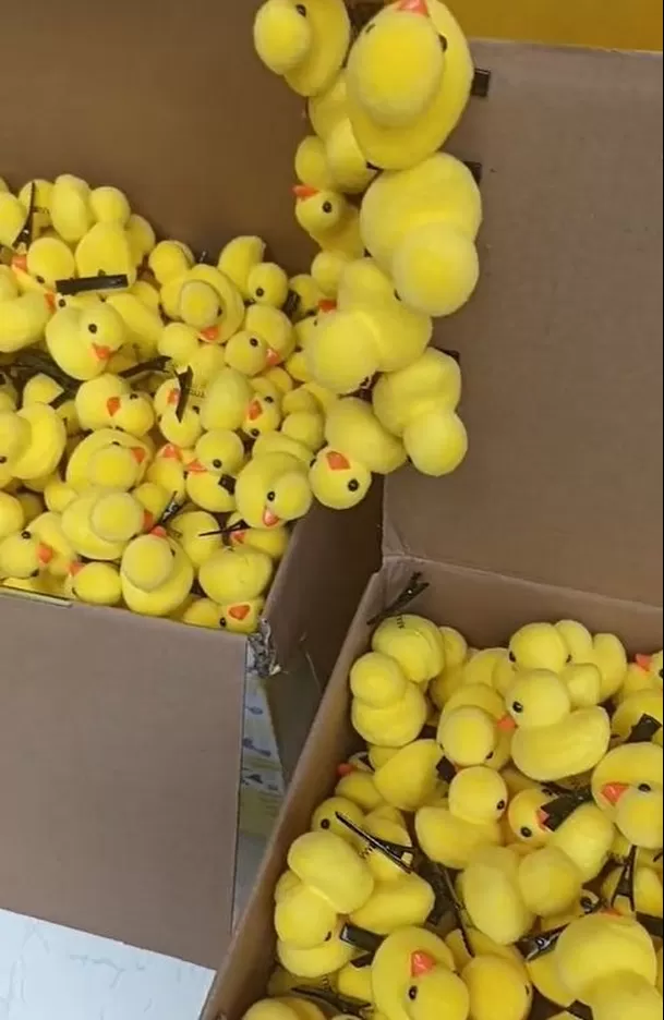 Patitos de hule invaden Lima / Captura