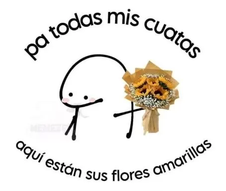 Memes sobre las flores amarillas / Instagram