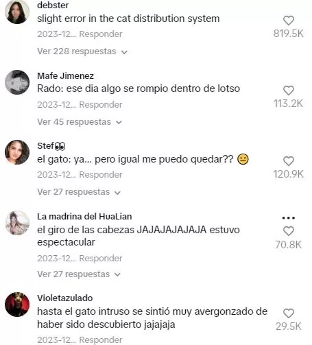 Los usuarios elogiaron al gato "impostor" / TikTok