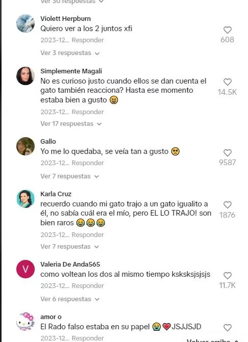 Algunos usuarios no creyeron en el video / TikTok