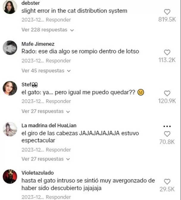 Los usuarios elogiaron al gato "impostor" / TikTok