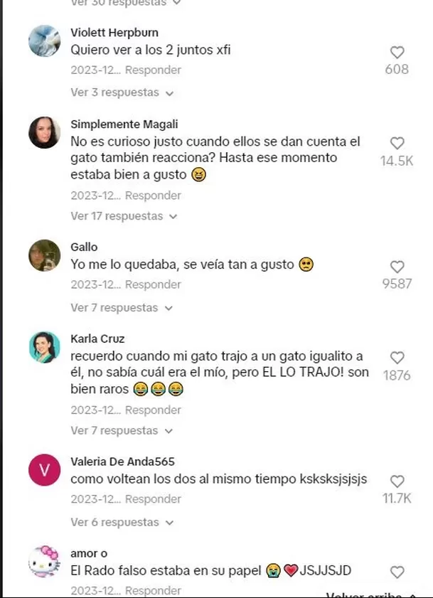 Algunos usuarios no creyeron en el video / TikTok