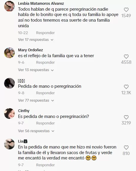 Hombre le pidió matrimonio a su novia y se viralizó en redes sociales. Foto: TikTok 