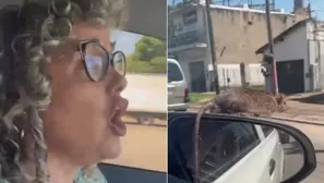 La mujer gritó desesperada al ver a la rata en el espejo retrovisor de su auto / TikTok @tiasilvia563