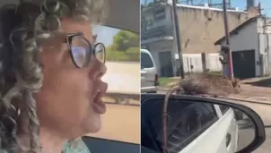 La mujer gritó desesperada al ver a la rata en el espejo retrovisor de su auto / TikTok @tiasilvia563