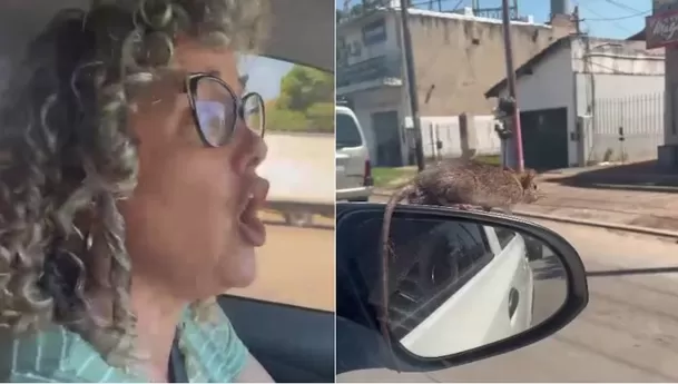 La mujer gritó desesperada al ver a la rata en el retrovisor de su auto / Captura La mujer gritó desesperada al ver a la rata en el retrovisor de su auto / Captura