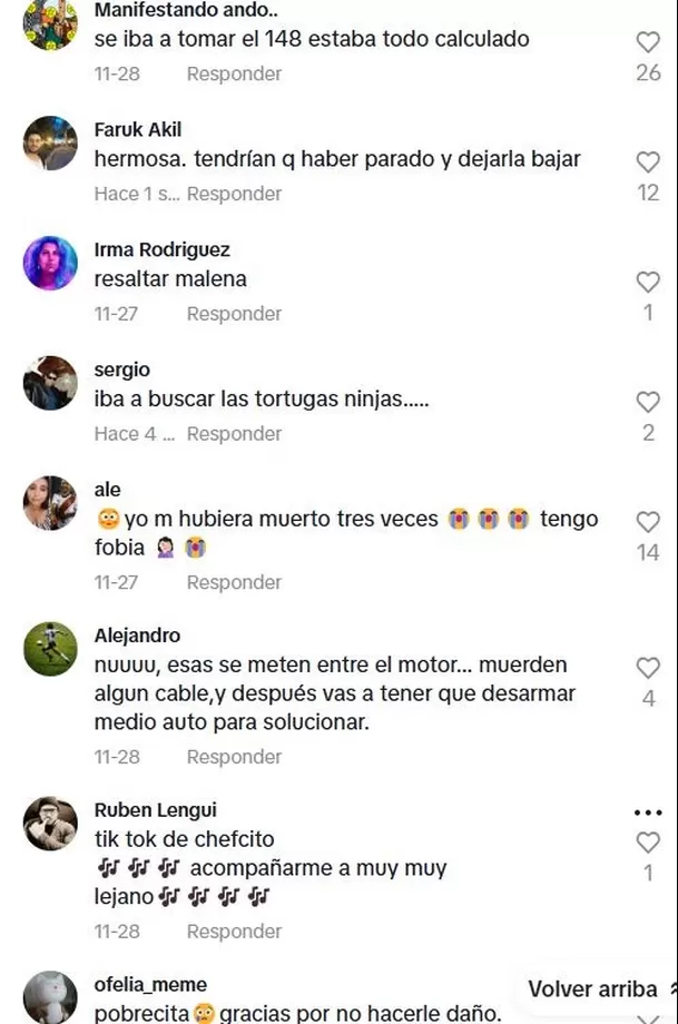 El video de la rata en el auto generó muchos comentarios El video de la rata en el auto generó muchos comentarios