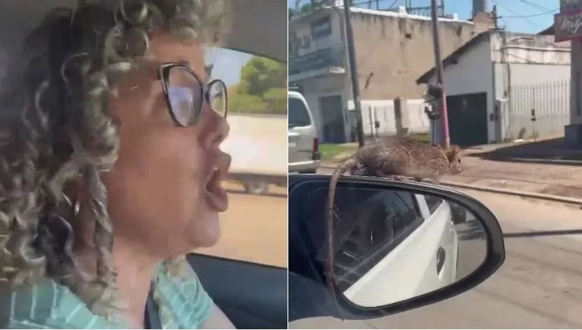 La mujer gritó desesperada al ver a la rata en el retrovisor de su auto / Captura