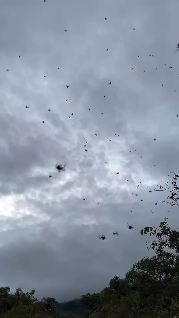 El fenómeno se registró en São Thomé das Letras, en el estado de Minas Gerais en Brasil / Captura El fenómeno se registró en São Thomé das Letras, en el estado de Minas Gerais en Brasil / Captura
