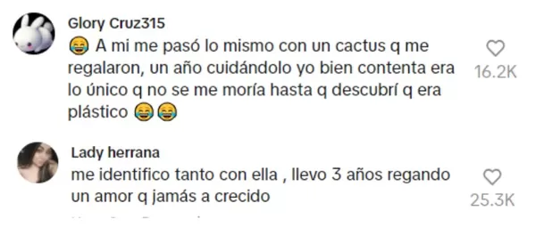 Comentarios en el video | Captura: @Mamitapr