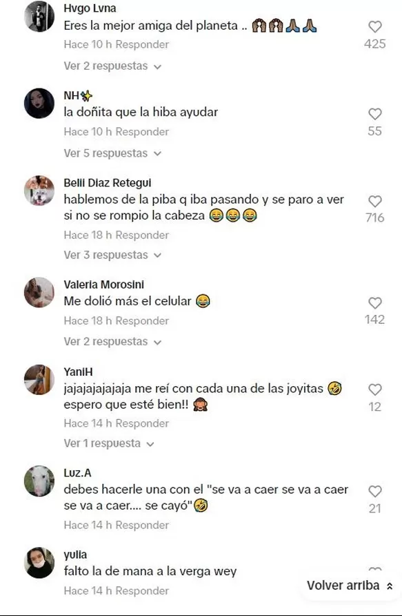 Todos se rieron de la aparatosa caída / TikTok