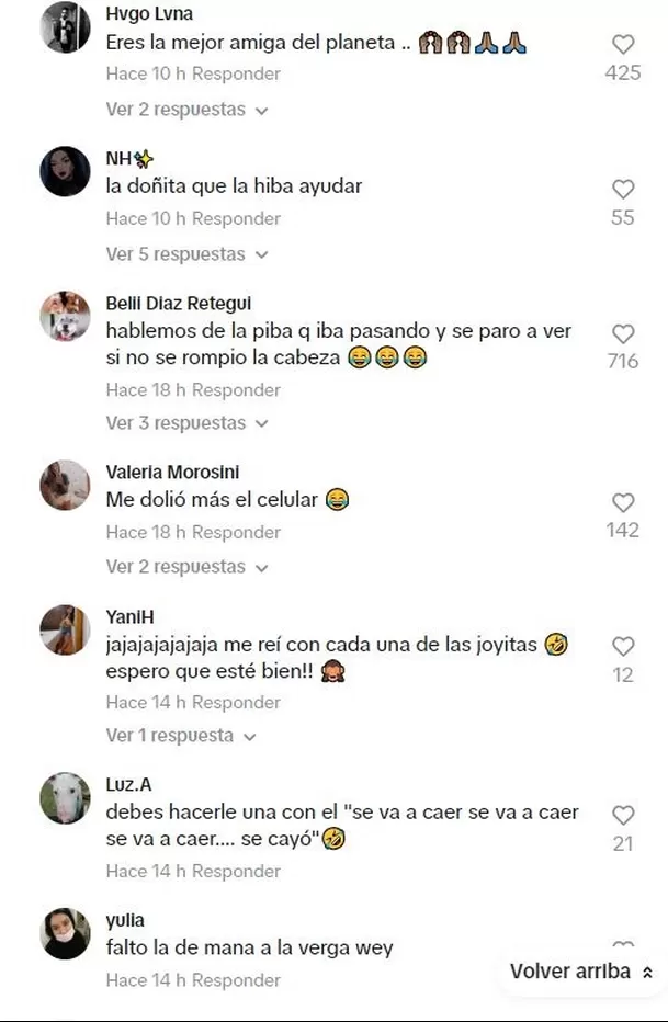 Todos se rieron de la aparatosa caída / TikTok