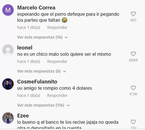 Reacciones por perro que se comió billetes de su dueño / TikTok