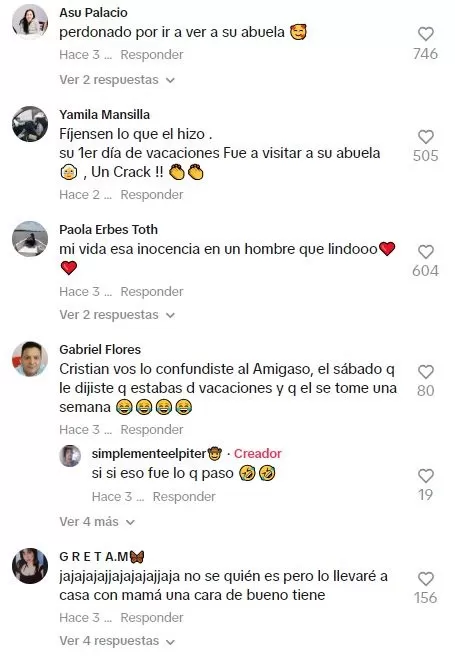 Algunos resaltaron el hecho que el joven haya ido a visitar a su abuela el primer día de sus vacaciones / TikTok