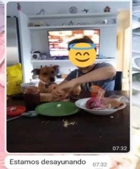 La vecina le envió un divertido mensaje a la dueña del perro / TikTok @edichi_cubas