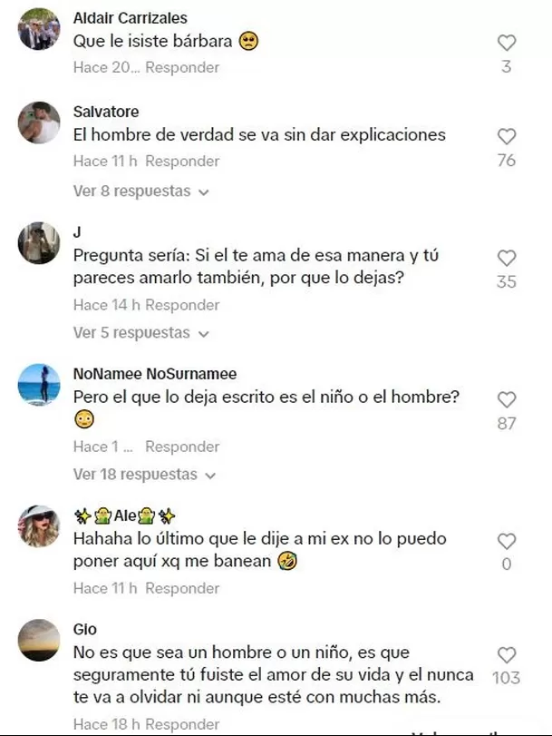 Algunos usuarios le pidieron que reconsidere su decisión / TikTok