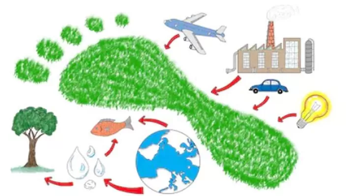 Semana de la Educación Ambiental: ¿cómo puedo reducir mi huella de carbono? Foto: Shutterstock Semana de la Educación Ambiental: ¿cómo puedo reducir mi huella de carbono? Foto: Shutterstock