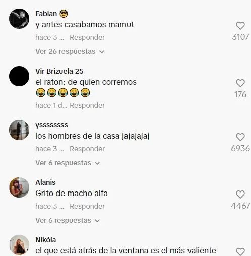 Comentarios en TikTok