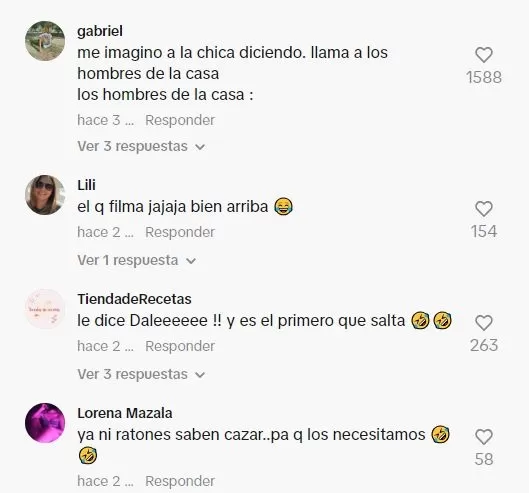 Comentarios en TikTok