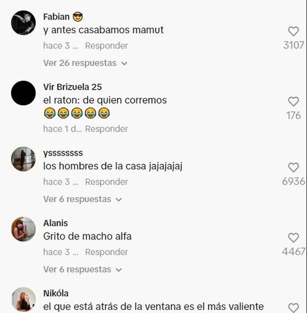 Comentarios en TikTok