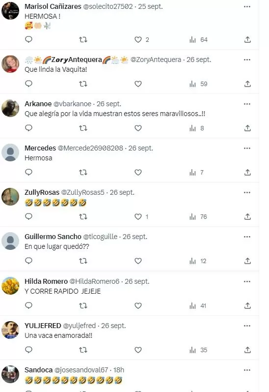 Comentarios sobre la "vaca fit" en Twitter 