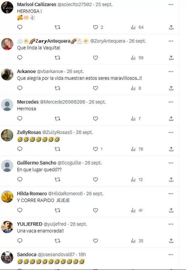 Comentarios sobre la "vaca fit" en Twitter 