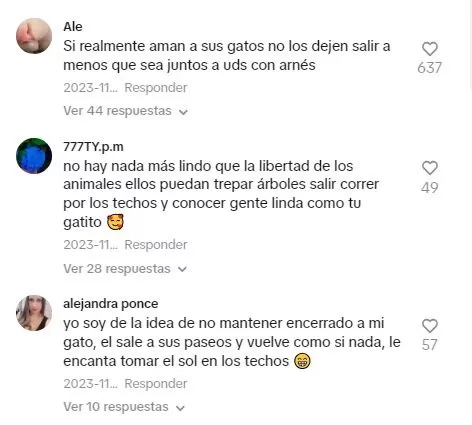 La mujer se llevó una sorpresa y su video se viralizó en TikTok