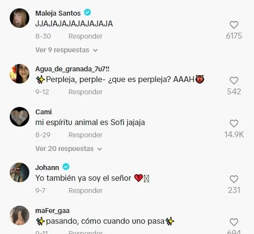 Comentarios en TikTok