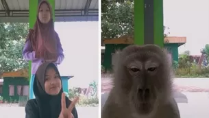 TikTok: Mono interrumpe baile de dos adolescentes y les roba el celular. Foto: Captura / Video: TikTok annisadwiatikah2